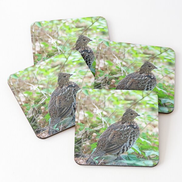 Item preview, Ruffed Grouse In The Woods designed and sold by Deb Oppermann.