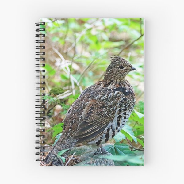 Item preview, Ruffed Grouse In The Woods designed and sold by Deb Oppermann.