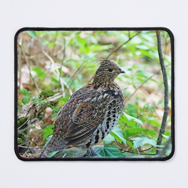 Item preview, Ruffed Grouse In The Woods designed and sold by Deb Oppermann.