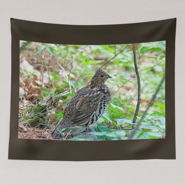Item preview, Ruffed Grouse In The Woods designed and sold by Deb Oppermann.