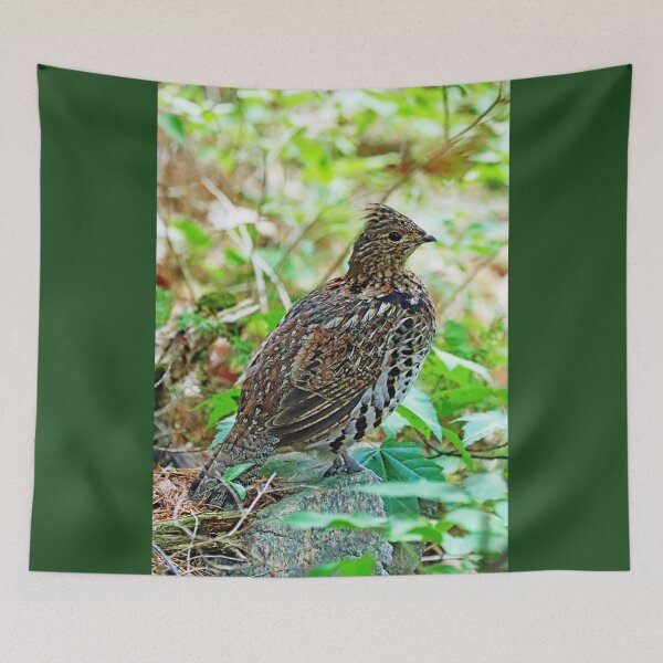 Item preview, Forest Drummer designed and sold by Deb Oppermann.
