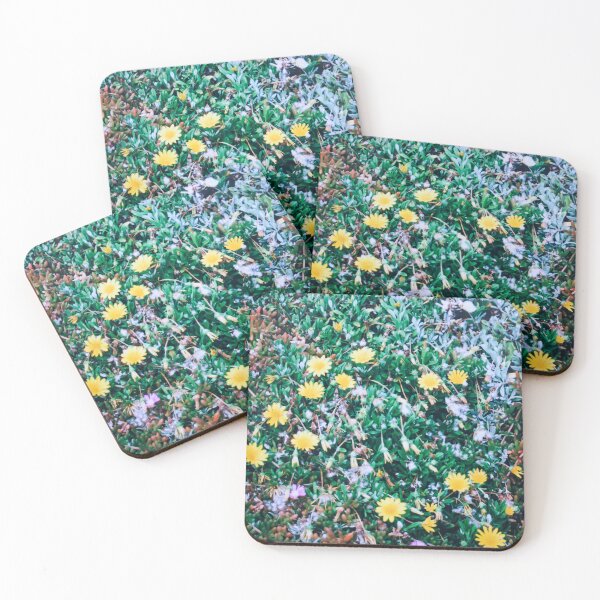 Item preview, Radiant Yellow Gazanias and Mossy Stone Crop Art Print: Vibrant Splendor on a Cornish Hillside designed and sold by Oh Halo Berry.