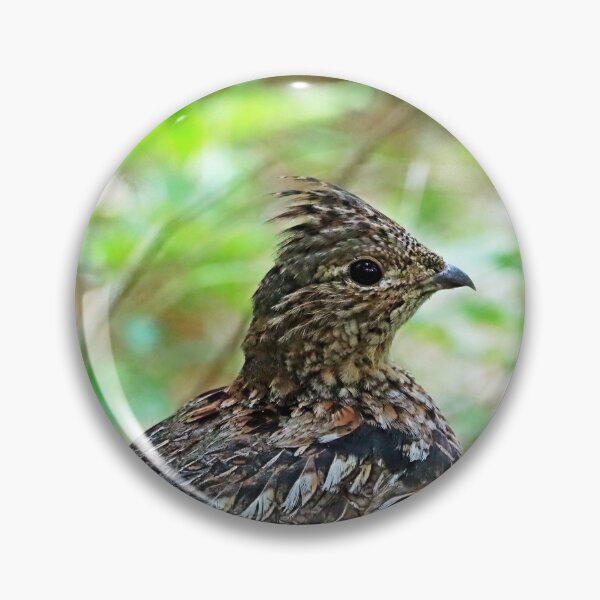 Item preview, Ruffed Grouse Profile designed and sold by Deb Oppermann.