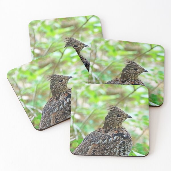 Item preview, Ruffed Grouse Profile designed and sold by Deb Oppermann.