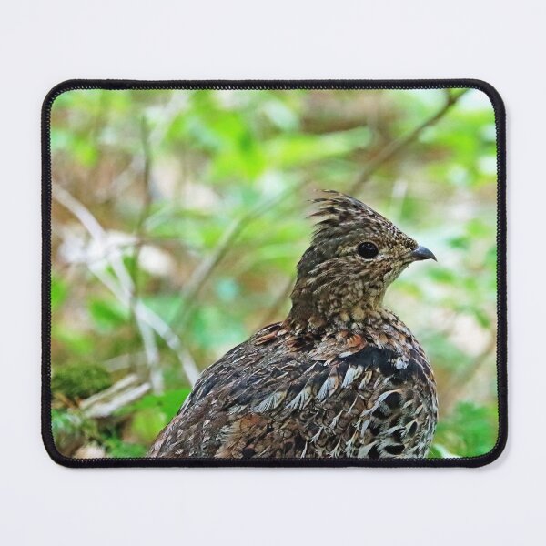 Item preview, Ruffed Grouse Profile designed and sold by Deb Oppermann.