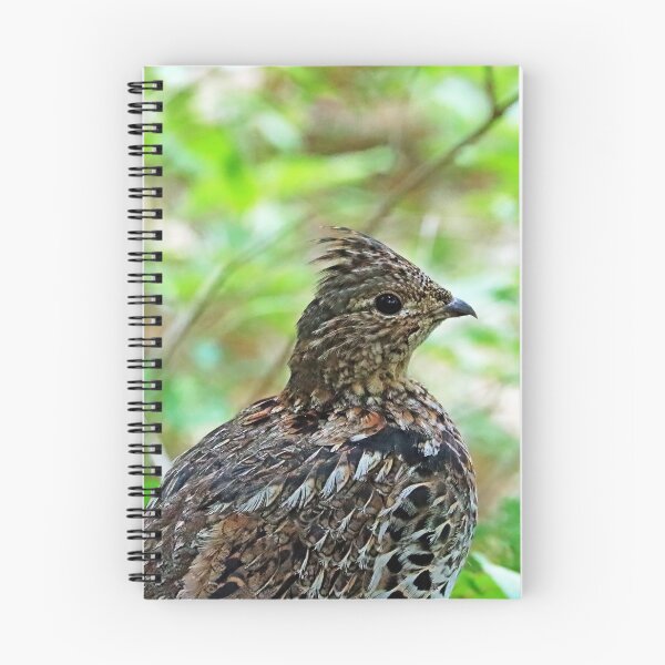 Item preview, Ruffed Grouse Profile designed and sold by Deb Oppermann.