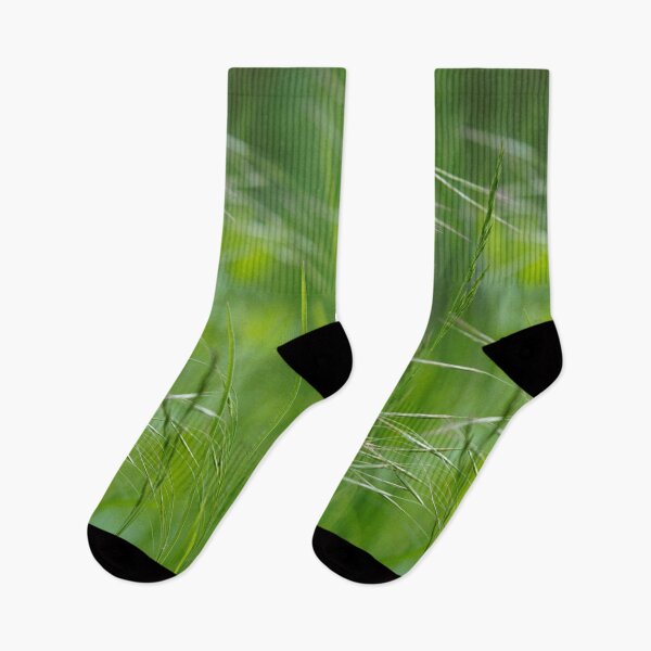 Item preview, Blades of grass in the meadow designed and sold by Binas-gallery.
