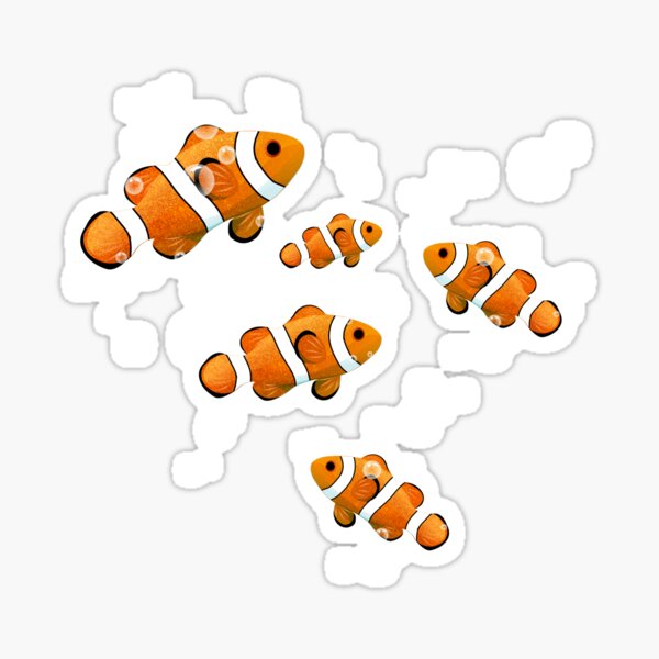 Tropical Clownfish & Bubbles Pattern Sticker