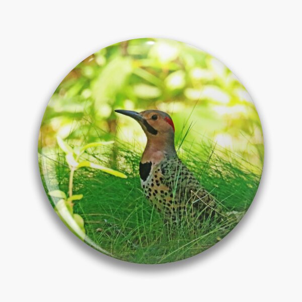 Item preview, Flicker In The Grass designed and sold by Deb Oppermann.