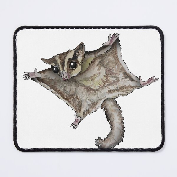 Item preview, Flying Sugar Glider designed and sold by kamkam19.