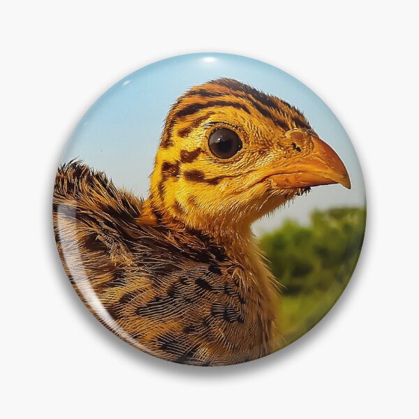 Item preview, Kazinga Keet designed and sold by Numidiary.