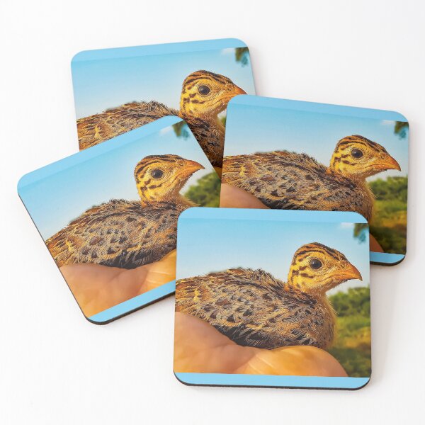Item preview, Kazinga Keet designed and sold by Numidiary.