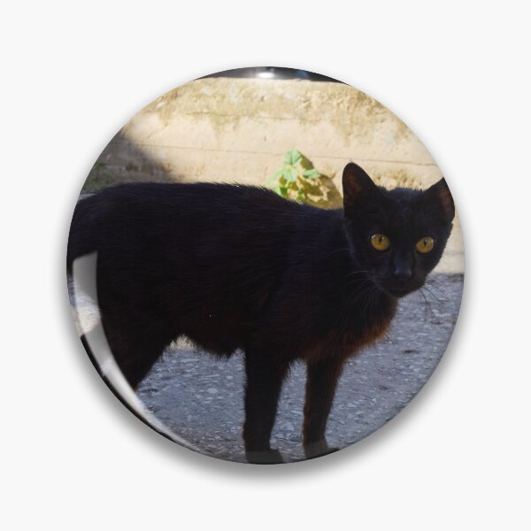 Item preview, The Black Cat  of Thassos designed and sold by Jouko Lehto Photography.