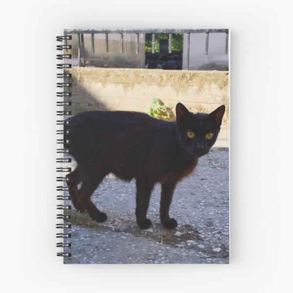 Item preview, The Black Cat  of Thassos designed and sold by Jouko Lehto Photography.