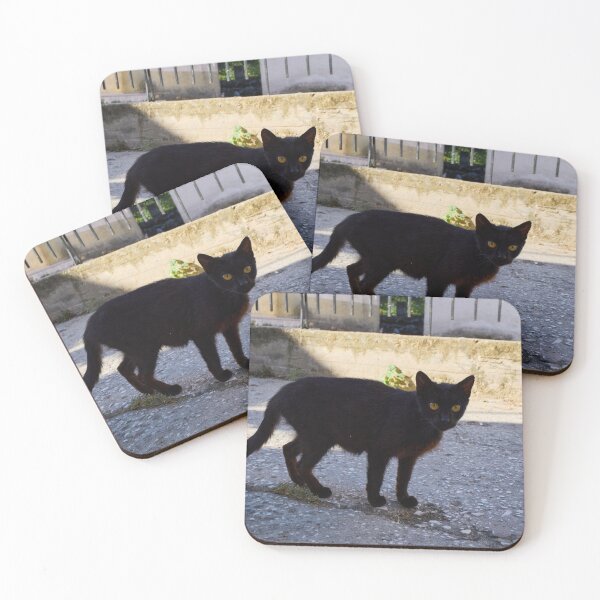 Item preview, The Black Cat  of Thassos designed and sold by Jouko Lehto Photography.