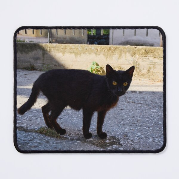 Item preview, The Black Cat  of Thassos designed and sold by Jouko Lehto Photography.