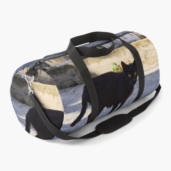 Item preview, The Black Cat  of Thassos designed and sold by Jouko Lehto Photography.