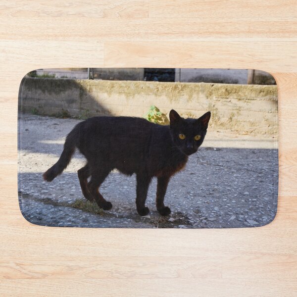 Item preview, The Black Cat  of Thassos designed and sold by Jouko Lehto Photography.