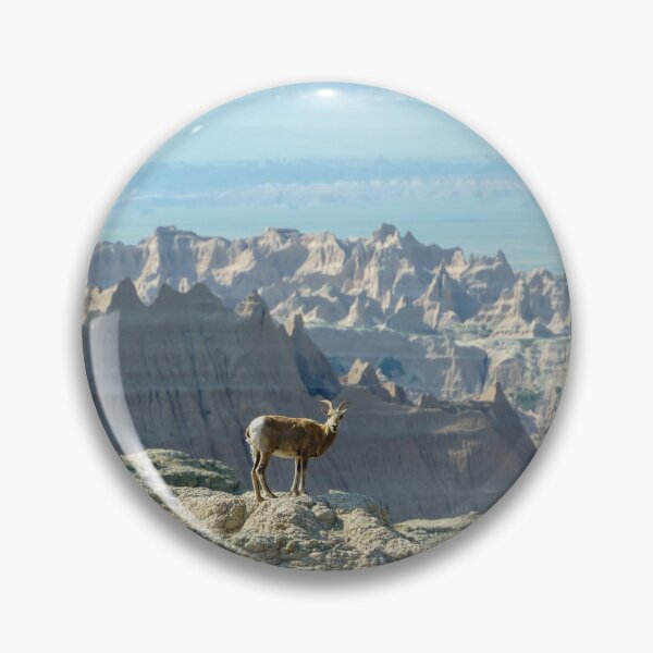 Item preview, Big Horn Sheep | Badlands National Park designed and sold by TinyDinoDesigns.