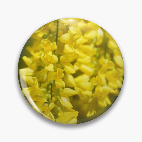 Item preview, laburnum designed and sold by Binas-gallery.