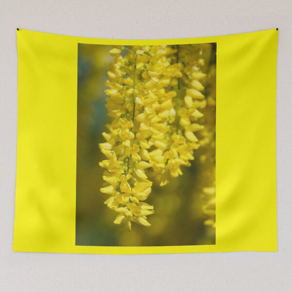 Item preview, laburnum designed and sold by Binas-gallery.