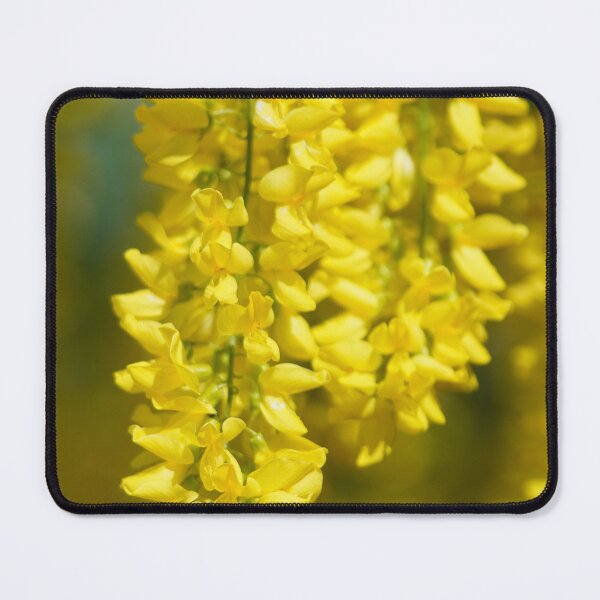 Item preview, laburnum designed and sold by Binas-gallery.