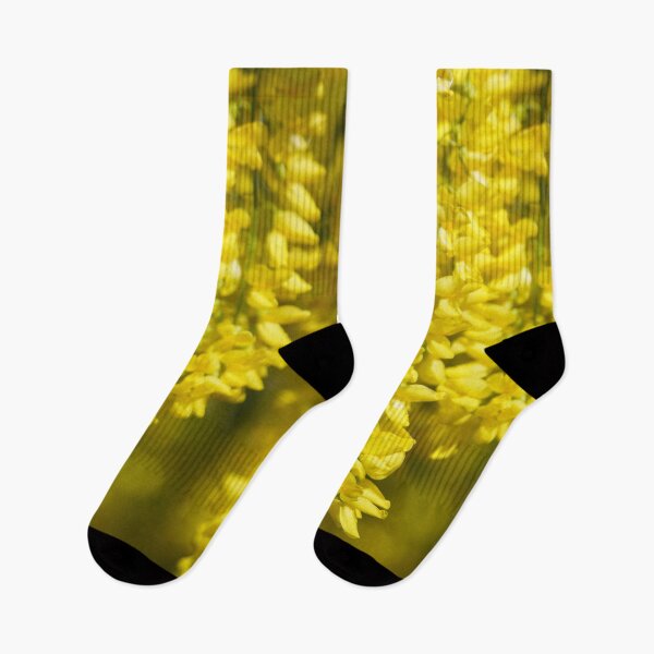 Item preview, laburnum designed and sold by Binas-gallery.
