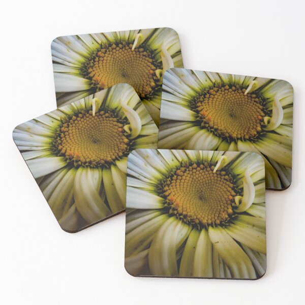 Item preview, Old Daisy designed and sold by Dismal-Rain.
