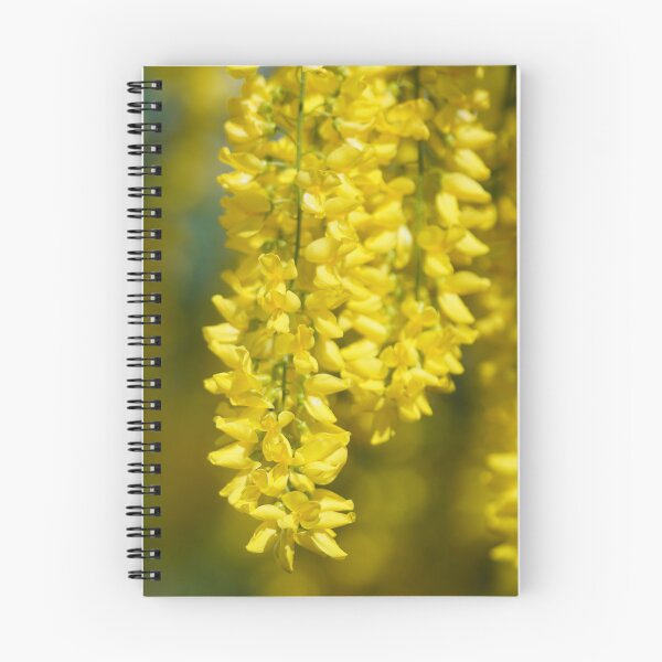 Item preview, laburnum designed and sold by Binas-gallery.