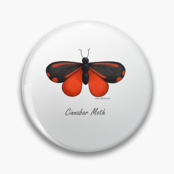 Item preview, Cinnabar Moth designed and sold by julianamotzko.