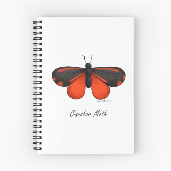 Item preview, Cinnabar Moth designed and sold by julianamotzko.