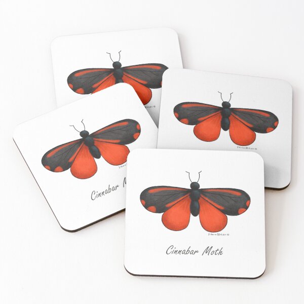 Item preview, Cinnabar Moth designed and sold by julianamotzko.