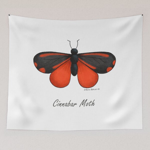 Item preview, Cinnabar Moth designed and sold by julianamotzko.