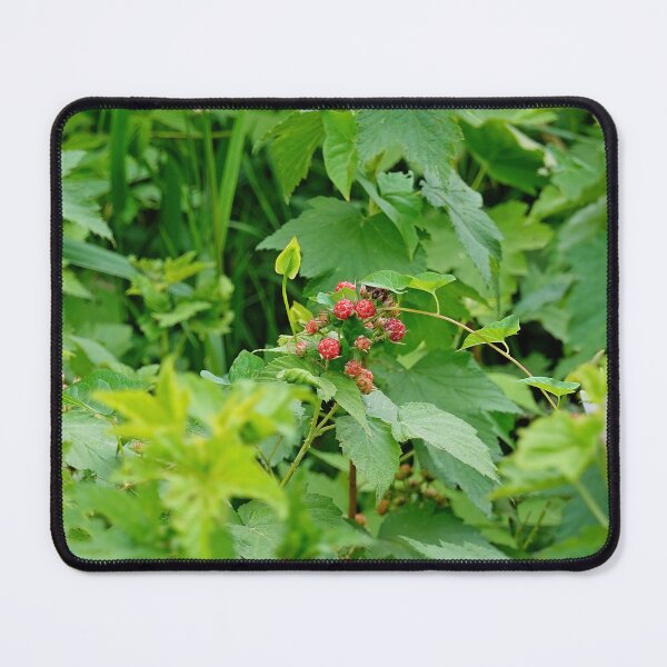 Item preview, Wild Raspberries 1  designed and sold by Robert Meyers-Lussier.