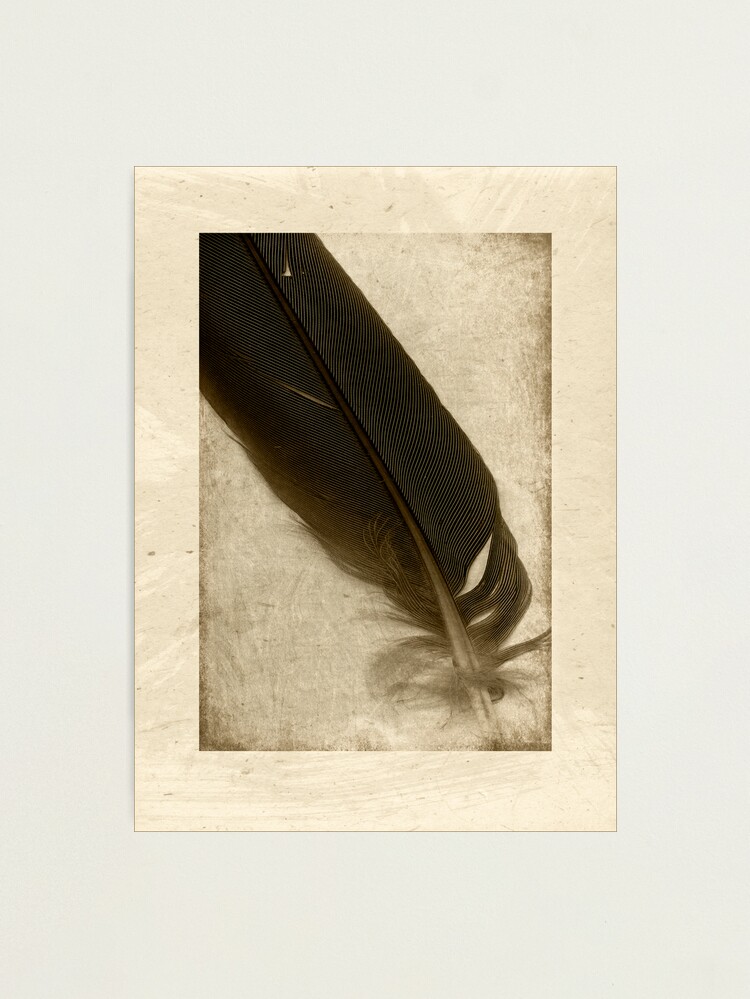 Thumbnail 1 of 3, Photographic Print, l i g h t designed and sold by ronmoss.