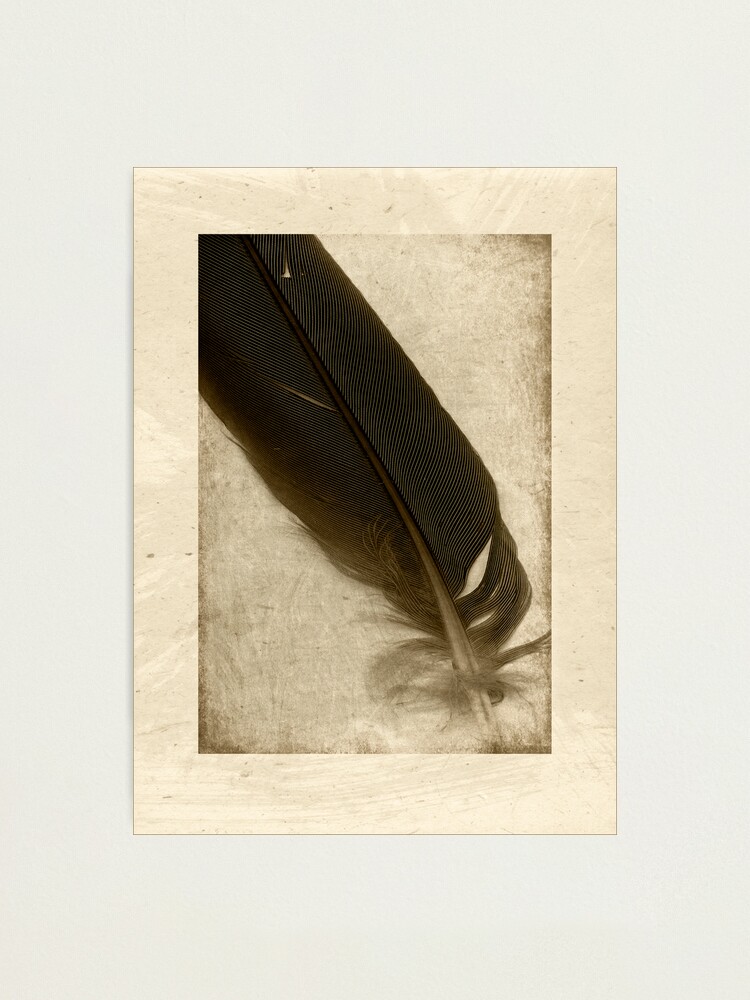 Alternate view of l i g h t Photographic Print