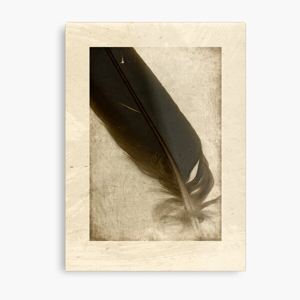 Metal Print