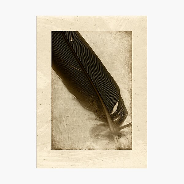 Photographic Print