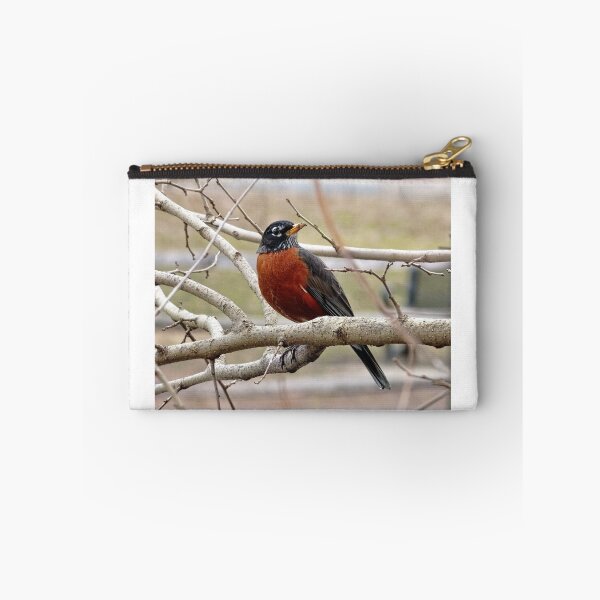 Item preview, Rockin' Robin designed and sold by Lanis Rossi.