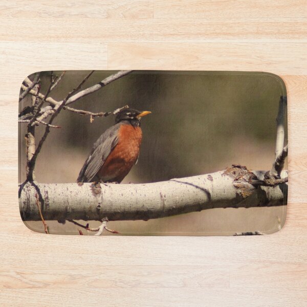 Item preview, Mr. Robin designed and sold by Photos, and Drawings, and Hybrids!!!!! Oh my!.