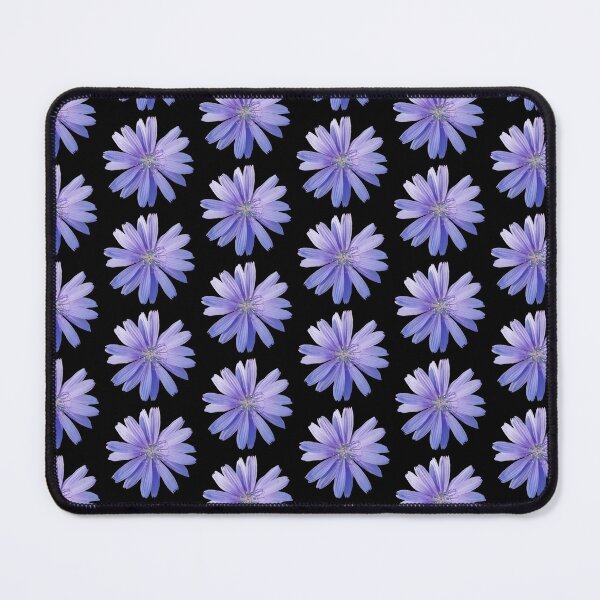 Item preview, Chicory Flower on Black, Field Guide to Flowers, No. 1 designed and sold by Kristi Duggins.