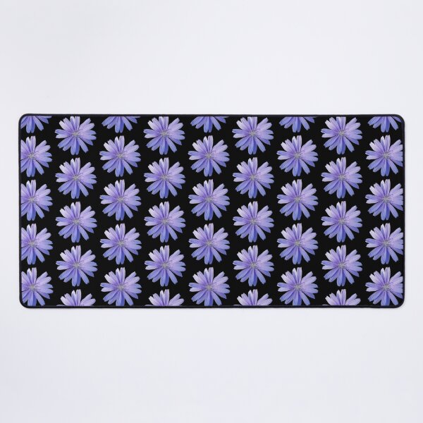 Item preview, Chicory Flower on Black, Field Guide to Flowers, No. 1 designed and sold by Kristi Duggins.