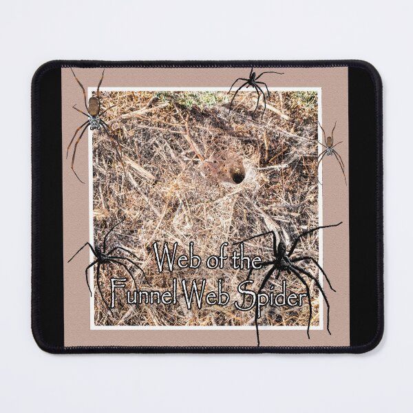 Item preview, Funnel Webs designed and sold by CarolM.