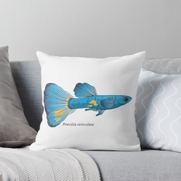 Item preview, Poecilia - Guppy designed and sold by Wittylot.