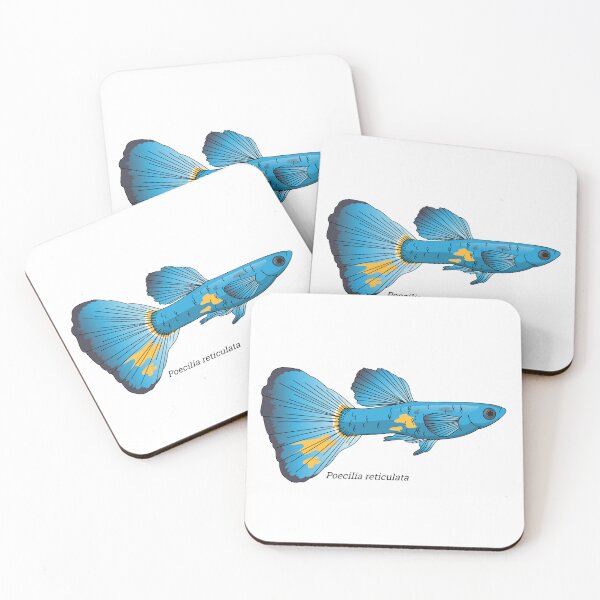 Item preview, Poecilia - Guppy designed and sold by Wittylot.