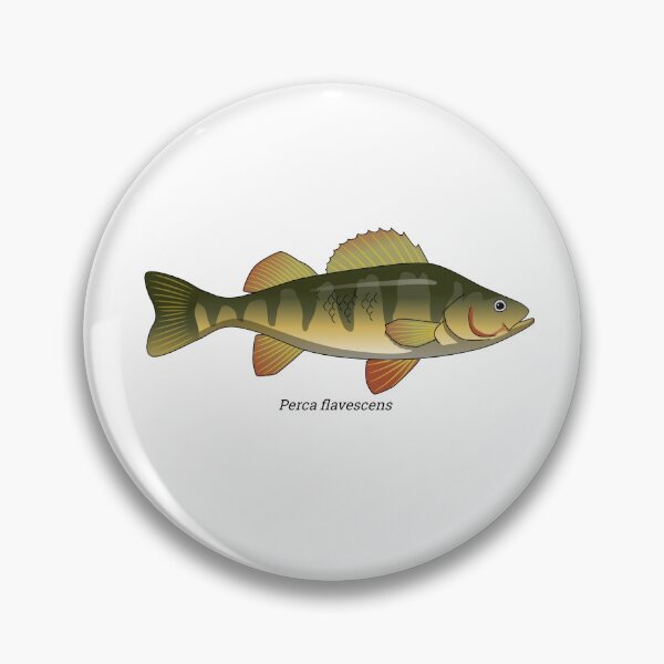 Item preview, Perca - perch designed and sold by Wittylot.