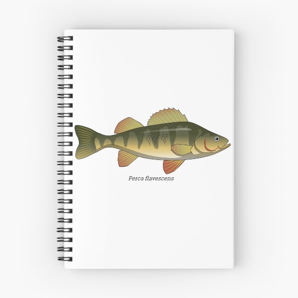 Item preview, Perca - perch designed and sold by Wittylot.