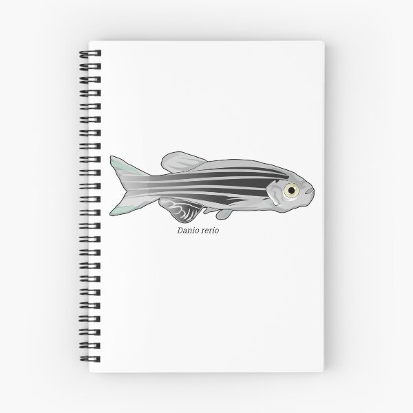 Item preview, Danio - zebrafish designed and sold by Wittylot.