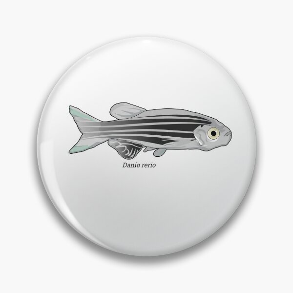 Item preview, Danio - zebrafish designed and sold by Wittylot.