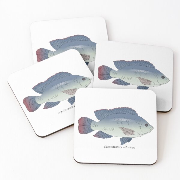 Item preview, Oreochromis - Tilapia designed and sold by Wittylot.